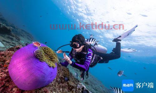 海南三亚市旅游潜水多少钱,三亚蜈支洲岛潜水价格表2024