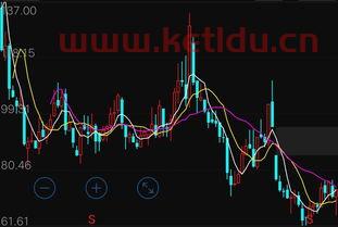 汇顶科技的龙头股票有哪些〖芯片股票龙头前十名代码〗