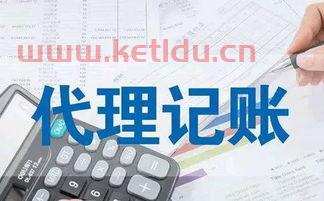 会计初级财务会计作业,线上等(医疗价格财务分类中的cde)