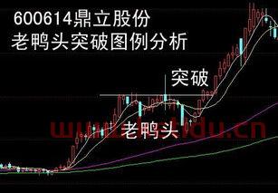 会用大智慧的进来给我扫扫盲 (大智慧头肩底突破选股公式)