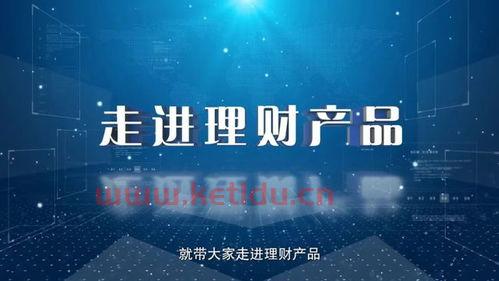 理财产品的单位净值是什么意思(净值型理财产品的单位净值)