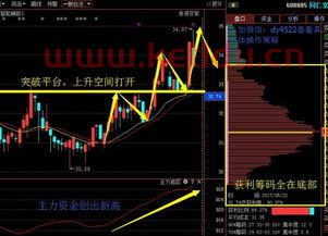 什么叫股票主力资金(股票主力资金是指什么)