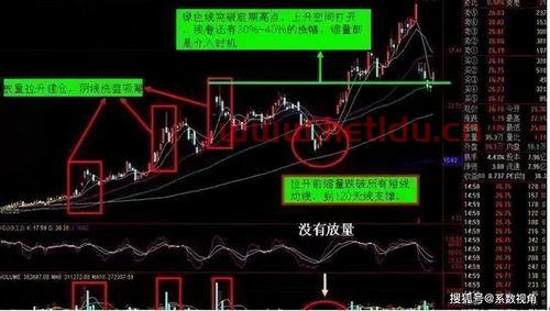 股票净值是什么意思简单说(股票净值怎么算入股)