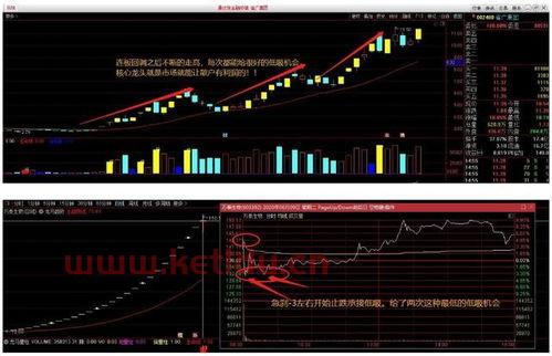 主力资金流入上市股票〖股票主力买入是什么意思〗