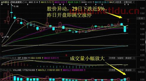 哪些股票有主力资金支持(主力资金进了哪些股票)