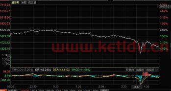 怎么查看QDII美股基金估值 (qdii基金怎么预估净值)