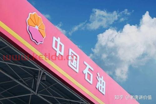 为什么中石油会出现巨亏 油价又比民营加油站每升贵1元多呢 (三桶油亏损的原因分析表)