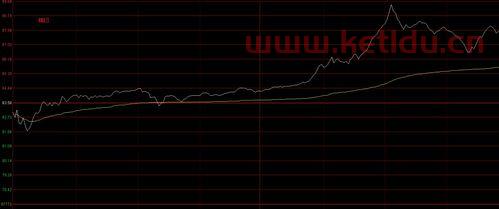 一只破净值的股票〖破净值股票什么意思〗
