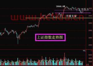 如何化解内部人控制现象(股票科龙的净值)