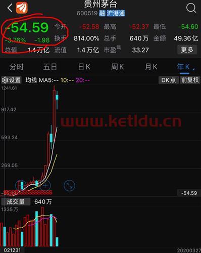 股价负数代表什么意思(股票净值是负数)