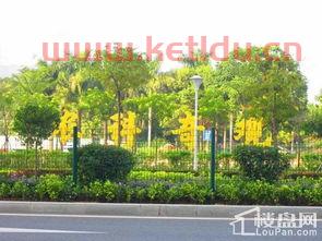 珠海御景龙湖别墅价格(珠海南坪别墅价格表大全)